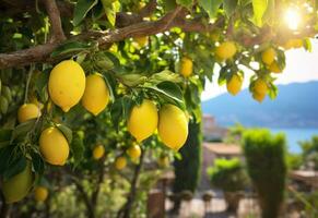 ai gerado limões crescendo dentro uma ensolarado jardim em amalfi costa dentro Itália. ai gerado foto