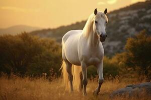 ai gerado branco cavalo ou égua dentro a montanhas às pôr do sol. ai gerado foto