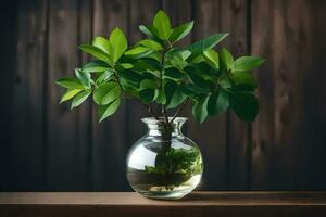 ai gerado uma pequeno plantar dentro uma vaso em uma mesa foto