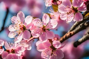 ai gerado Rosa cereja flores estão florescendo em uma árvore. gerado por IA foto