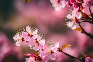 ai gerado uma fechar acima do uma cereja Flor árvore. gerado por IA foto