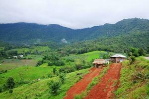 natural turvar molhado campo estrada dentro tropical chuva floresta em montanha dentro norte do tailândia. rastrear trilha lama estrada dentro floresta natureza rural panorama. Castanho argila poça caminho transporte dentro campo foto