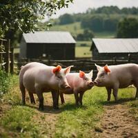 ai gerado porquinho paraíso uma rústico tapeçaria do Fazenda vida foto