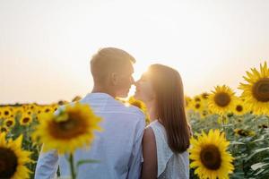 lindo casal caminhando juntos em campos de girassóis ao pôr do sol foto