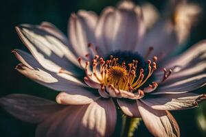 ai gerado uma fechar acima do uma Rosa flor foto