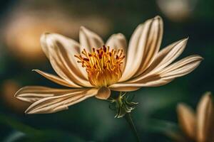 ai gerado uma fechar acima do uma flor com uma amarelo Centro foto