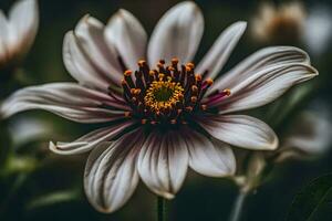 ai gerado uma fechar acima do uma flor com uma amarelo Centro foto