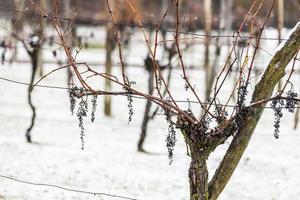 primeira neve nas cidades montanhosas. entre outono e inverno foto