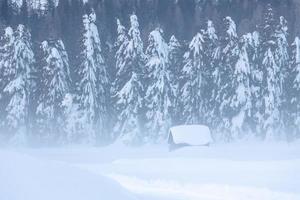 após a queda de neve. últimas luzes do crepúsculo em sappada. magia das dolomitas foto