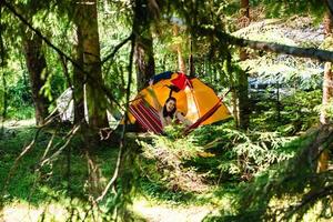 mulher deitada em uma rede na barraca da floresta no fundo foto