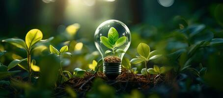 ai gerado elétrico lâmpada contém verde plantar com luz solar foto