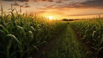 ai gerado realidade foto do a Sol Aumentar sobre uma milho campo, uma muito deslumbrante Visão