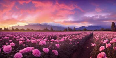 ai gerado rosa campo dentro a nascer do sol manhã com lindo céu foto