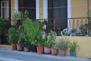 flores crescem em vasos de barro nas ruas de rhodes, na grécia foto