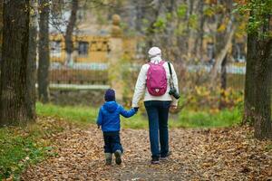 mãe ou babá e menino caminhando juntos no parque da cidade outono, vista traseira foto