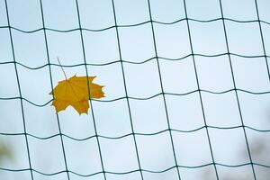 fim do conceito de temporada de esportes foto