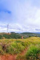 lindo panorama dentro a manhã às cau isso, da lat cidade, eu sou dong província. vento poder em chá colina, manhã cenário em a encosta do chá plantado foto