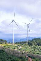 lindo panorama dentro a manhã às cau isso, da lat cidade, eu sou dong província. vento poder em chá colina, manhã cenário em a encosta do chá plantado foto