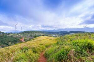 lindo panorama dentro a manhã às cau isso, da lat cidade, eu sou dong província. vento poder em chá colina, manhã cenário em a encosta do chá plantado foto