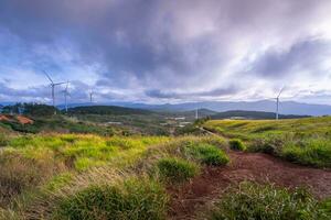 lindo panorama dentro a manhã às cau isso, da lat cidade, eu sou dong província. vento poder em chá colina, manhã cenário em a encosta do chá plantado foto