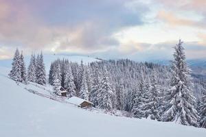 cabana de madeira aconchegante no alto das montanhas nevadas. grandes pinheiros no fundo. pastor kolyba abandonado. dia nublado. montanhas dos cárpatos, ucrânia, europa