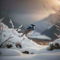 ai gerado lindo pássaro em a neve dentro a montanhas às pôr do sol dentro inverno. generativo ai foto