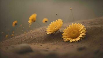 ai gerado lindo amarelo margarida flor em a chão. seletivo foco. generativo ai foto