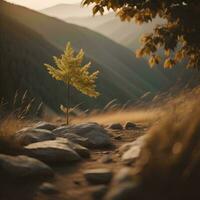 ai gerado pequeno árvore crescendo em uma rochoso trilha dentro a montanhas às pôr do sol. generativo ai foto