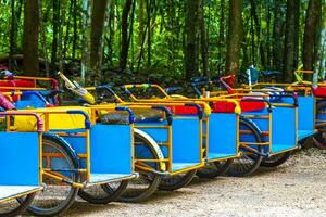 renda uma bicicleta triciclo passeio através a selva coba ruínas. foto