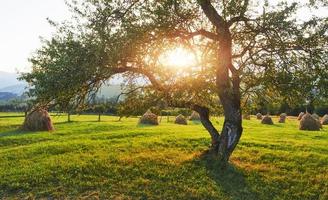 bela paisagem do nascer do sol de outono nas montanhas dos Cárpatos, viagem pela Europa, oeste da Ucrânia, parque nacional dos Cárpatos, mundo maravilhoso, papel de parede de fundo de paisagem foto