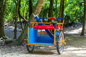 renda uma bicicleta triciclo passeio através a selva coba ruínas. foto