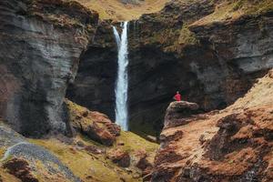 a pitoresca paisagem de montanhas e cachoeiras da Islândia. tremoço azul selvagem que floresce no verão. turista considerando a beleza cênica do mundo foto