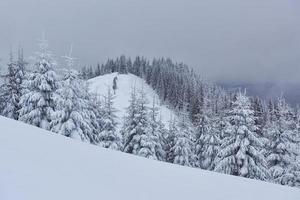 manhã inverno calmo paisagem montanhosa com lindos pinheiros glaceados e pista de esqui por meio de nevascas na encosta da montanha foto