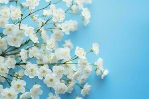 ai gerado delicado charme branco Gypsophila ou Bêbês respiração em azul fundo foto