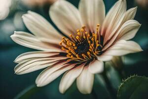 ai gerado uma fechar acima do uma branco flor com Castanho estame foto