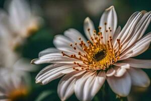 ai gerado uma fechar acima do uma branco flor foto