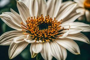 ai gerado uma fechar acima do uma branco flor foto