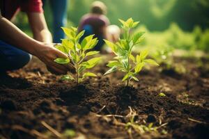 ai gerado grupo do jovem pessoas plantio mudas dentro a chão. seletivo foco, uma grupo do pessoas plantas mudas dentro a terra dentro uma fechar-se tomada, ai gerado foto