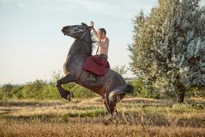 bonito homem vaqueiro equitação em uma cavalo - fundo do céu e árvores foto