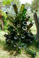 uma árvore fez Fora do vinho garrafas foto