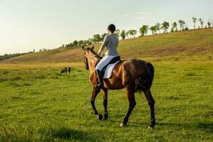 jovem mulher equitação uma cavalo em a verde campo foto