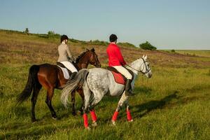 dois jovem mulheres equitação cavalo dentro parque. cavalo andar dentro verão foto