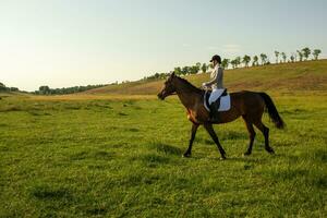 jovem mulher equitação uma cavalo em a verde campo foto