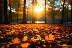 ai gerado vibrante floresta outono folhas dança dentro luz solar, criando uma sereno atmosfera foto