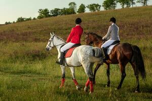 dois jovem mulheres equitação cavalo dentro parque. cavalo andar dentro verão foto