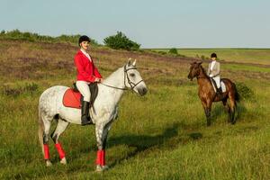 a cavalo cavaleiros. dois atraente mulheres passeio cavalos em uma verde Prado foto