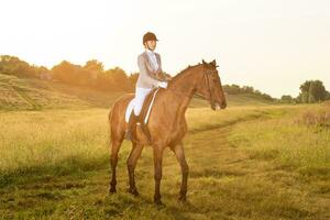 equestre esporte. jovem mulher equitação cavalo em adestramento avançado teste. Sol flare foto