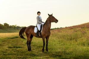 equestre esporte. jovem mulher equitação cavalo em adestramento avançado teste foto