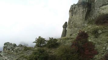 aéreo Visão do íngreme falésias dentro Grosso névoa com vermelho lindo arbustos e amarelo arbustos. tomada. topo Visão do pedra colinas coberto com nebuloso misterioso nuvens e pequeno arbustos, outono cenário. foto