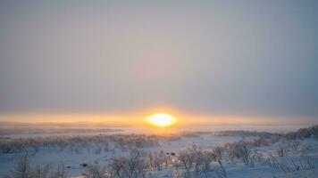 ai gerado inverno nascer do sol serenidade dentro Nevado silêncio foto